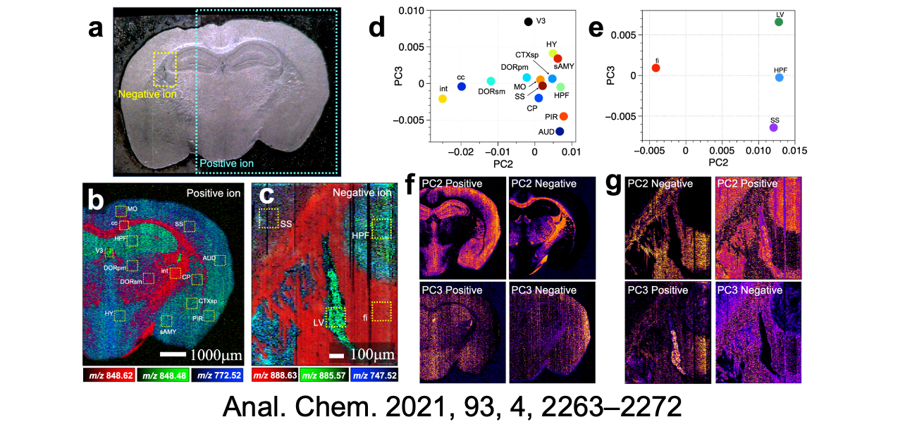 Mass Spectrometry Imaging Mass Spectrometry Group